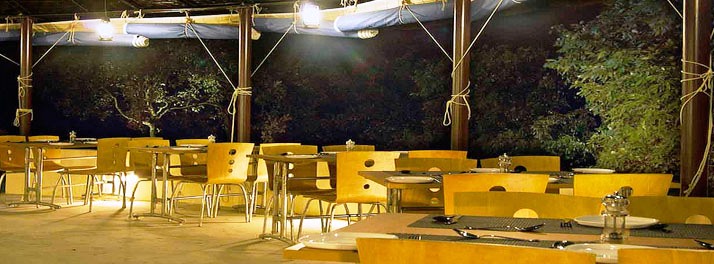 1412/Essence of Nature - Ranikhet 06.jpg